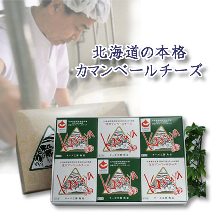 北海道カマンベールチーズ　６個セット